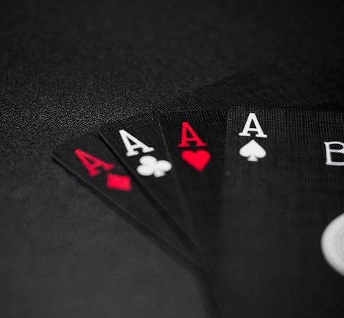 Elite Crypto Casino Canada with Web3 Features A New Era of Gaming