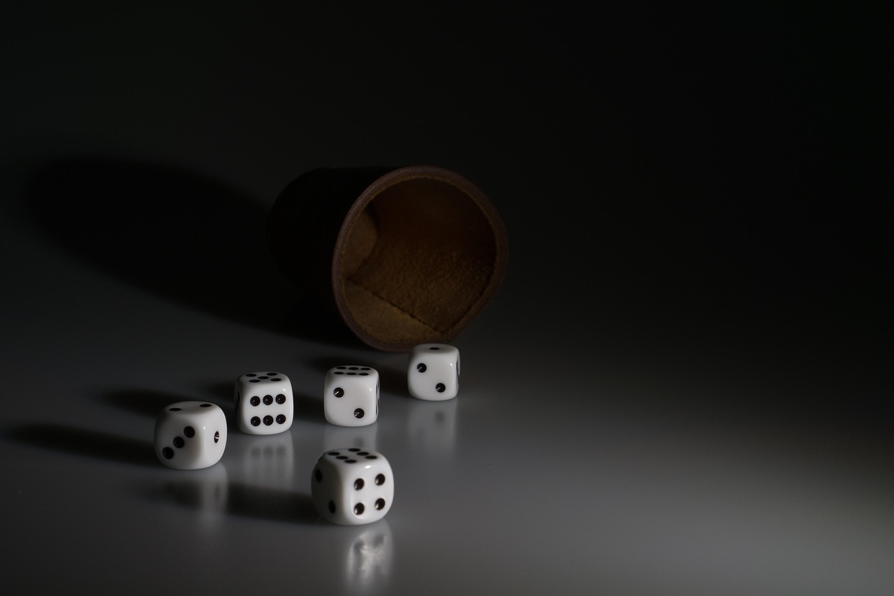 Premium Ethereum Casino with VIP Program in Canada A Luxurious Gaming Experience