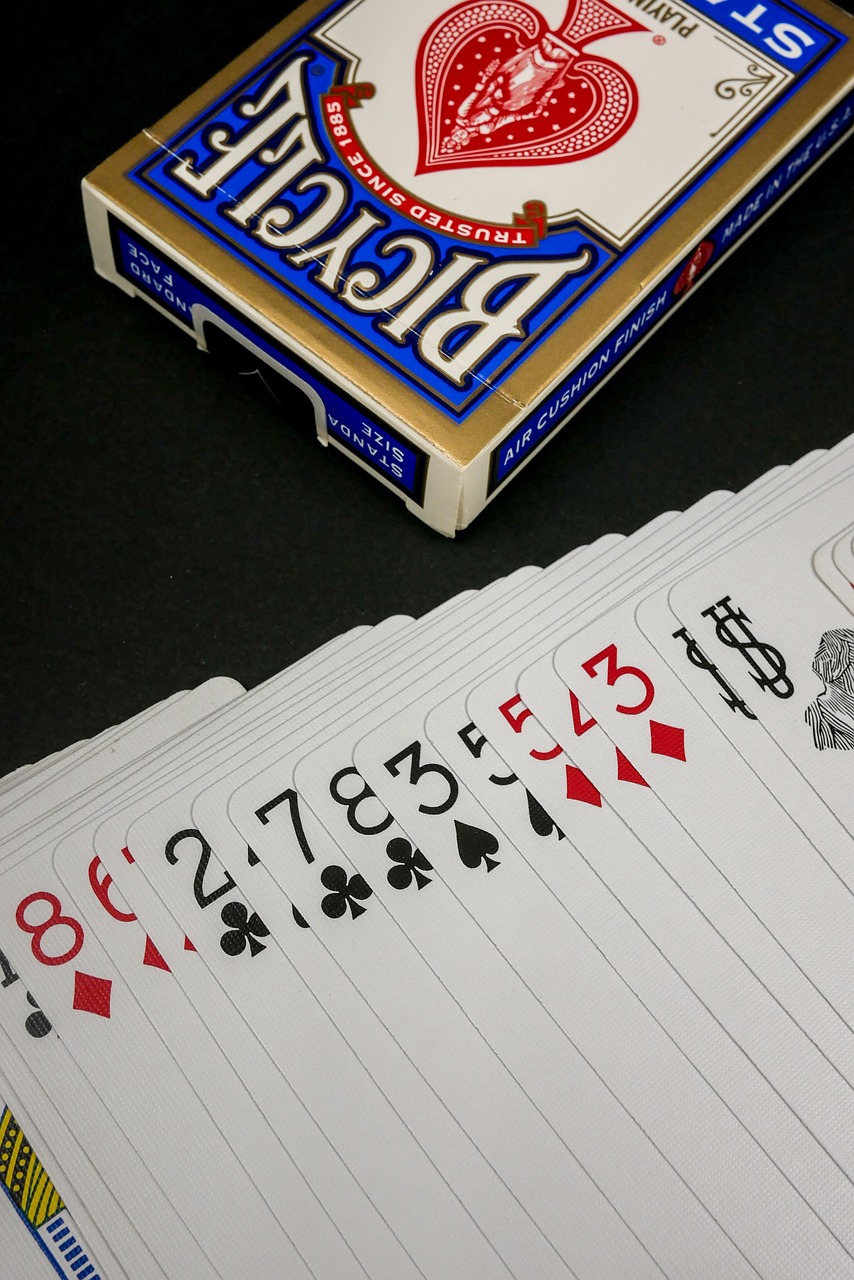Real Money Crypto Gambling Site for High Rollers in Canada An Overview