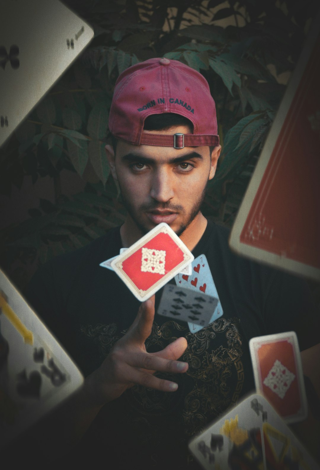 Anonymous Blockchain Crypto Casino with Free Spins in Canada A Comprehensive Guide
