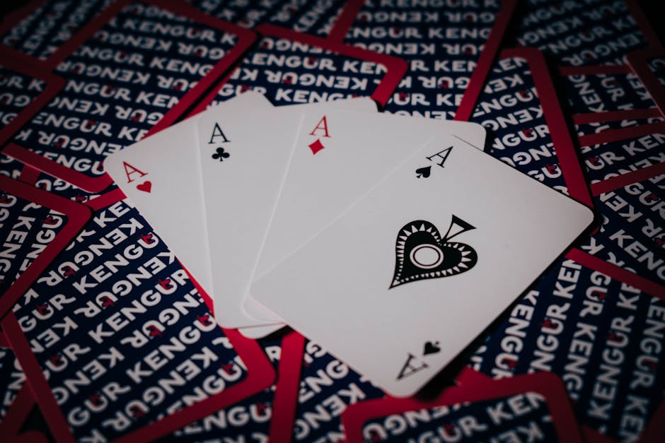 Future of Gambling in Canada: A Fully Licensed Blockchain-Powered Crypto Casino