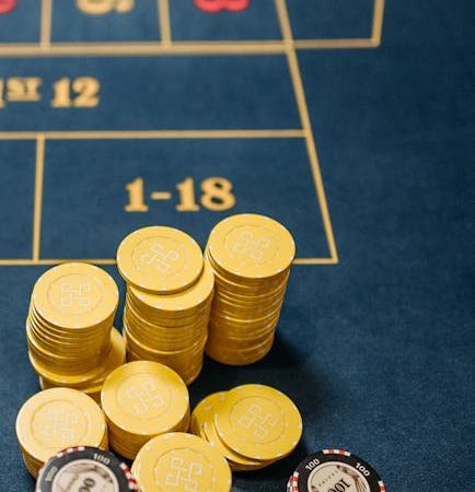 Crypto Casino Canada: High Stakes Gaming and Instant Withdrawals